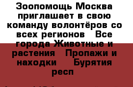 Зоопомощь.Москва приглашает в свою команду волонтёров со всех регионов - Все города Животные и растения » Пропажи и находки   . Бурятия респ.